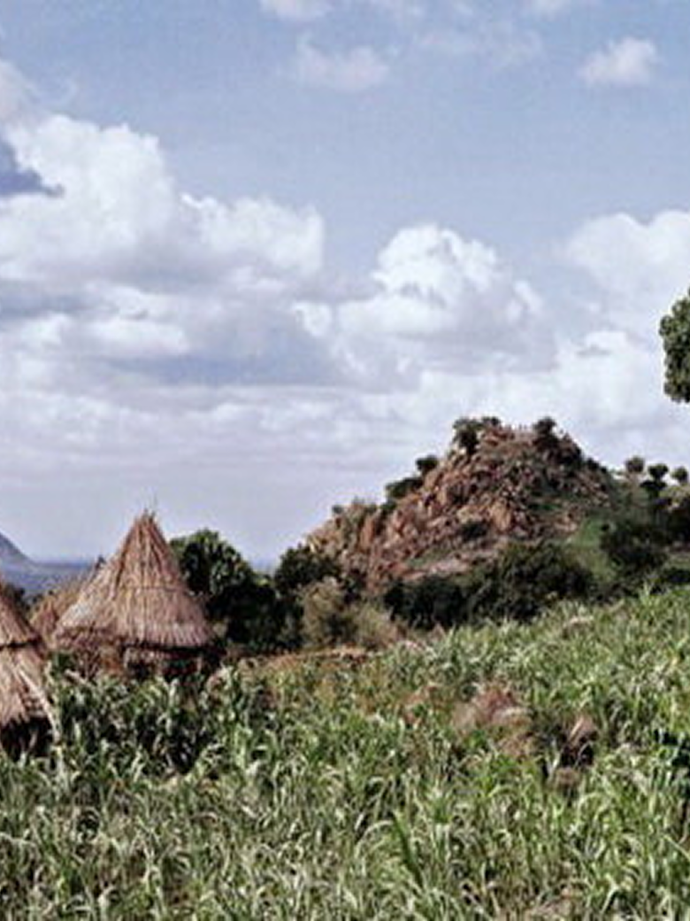 Cameroon